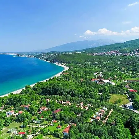 Sintrivanis Szkotína