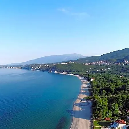 Sintrivanis 3* Szkotína
